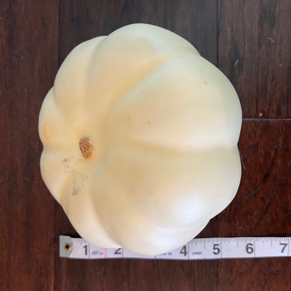 Fall Decor - Picture 13 of 14